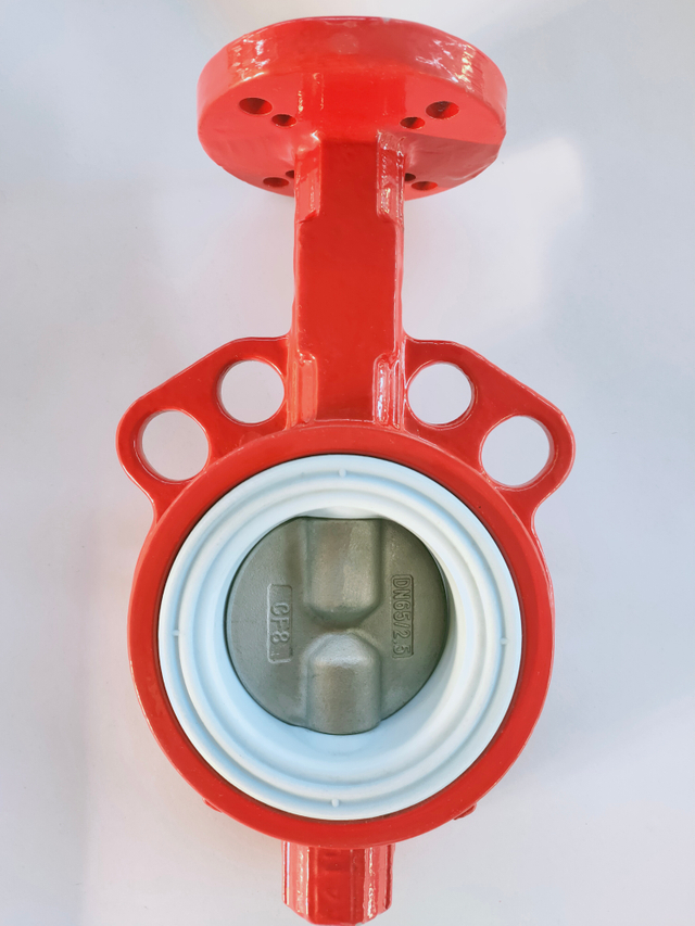 Cast Iron Wafer Butterfly Valve