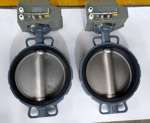 Butterfly Valve with Electric Actuator 