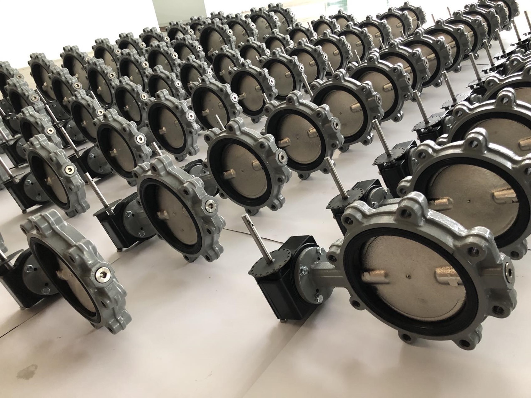 Lug Type Manual Butterfly Valve 