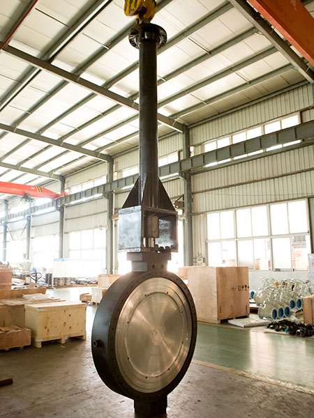 Customized Butterfly Valve