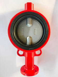 Cast Iron Wafer Butterfly Valve