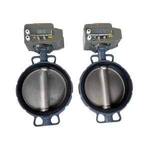 Butterfly Valve with Electric Actuator 