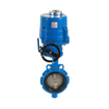 Electric butterfly valve