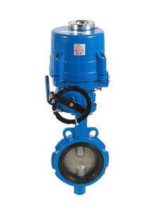 Electric butterfly valve