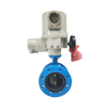 Electrically Actuated Flange Butterfly Valve