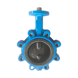 Lug Butterfly Valve