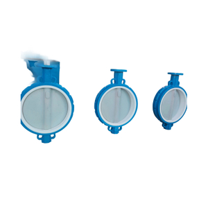 butterfly valve covered with PTFE