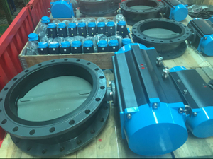 Flange Type Butterfly Valve Nylon Covered 